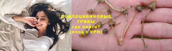 шишки Навашино