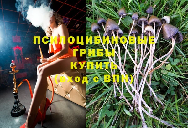 СК Алзамай