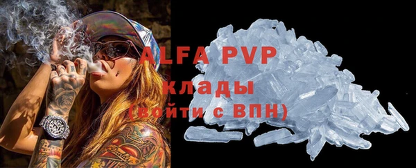 крисы Алексин