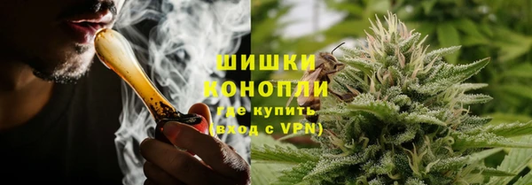 ГАЛЛЮЦИНОГЕННЫЕ ГРИБЫ Надым