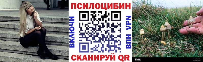 Псилоцибиновые грибы Magic Shrooms  купить наркоту  Чапаевск 