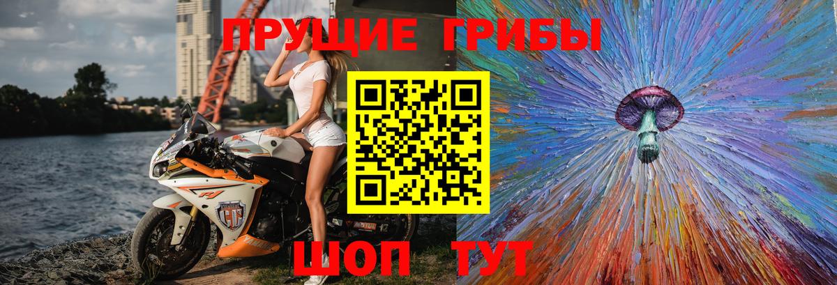 Псилоцибиновые грибы Magic Shrooms  как найти закладки  Чапаевск  Вход с VPN  Псилоцибиновые грибы Magic Shrooms 